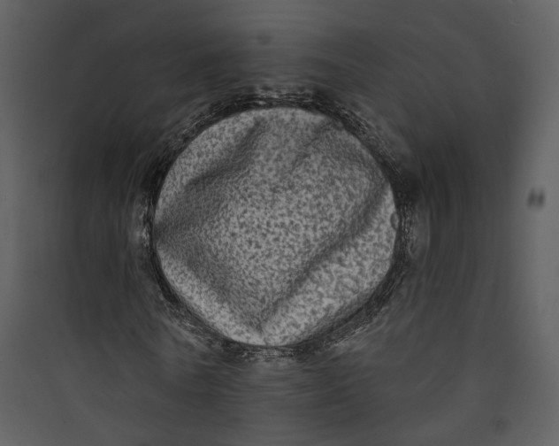 X0000089760770200707121402