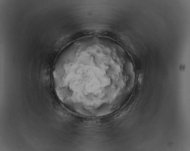 X0000089760771200707121402