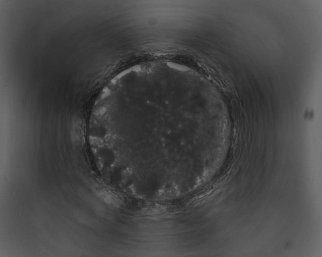 X0000089760772200707121402