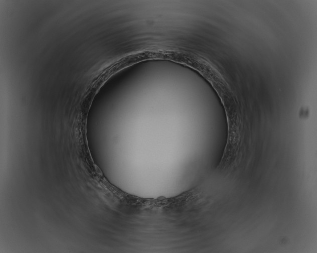 X0000089760773200707121402