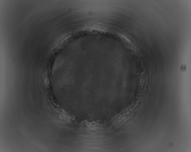 X0000089760774200707121402