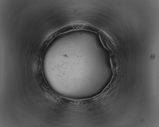 X0000089760775200707121402