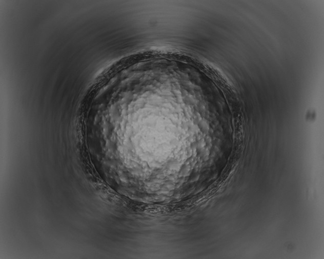 X0000089760776200707121402