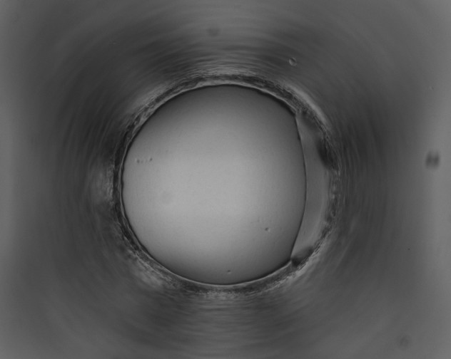 X0000089760777200707121402