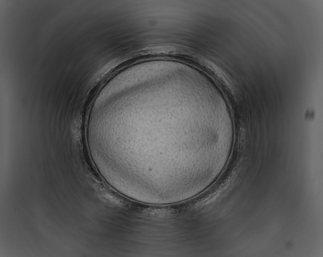 X0000089760778200707121402