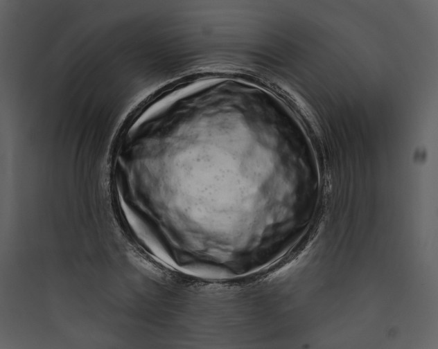 X0000089760779200707121402