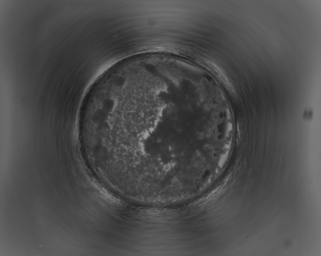 X0000089760780200707121402