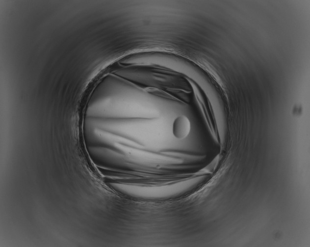 X0000089760781200707121402