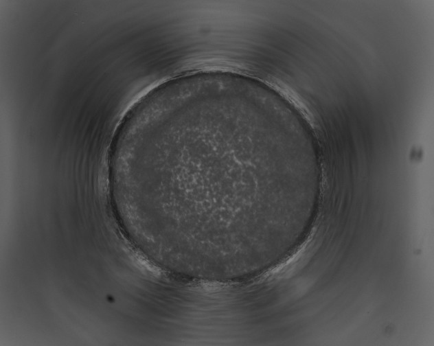 X0000089760782200707121402