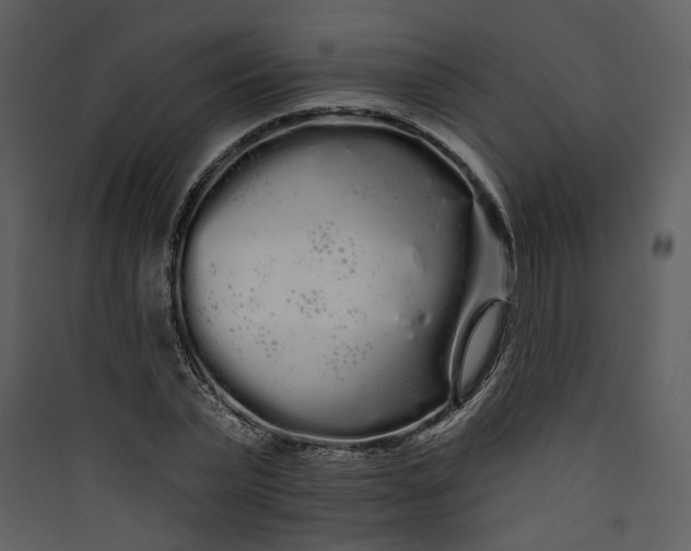 X0000089760783200707121402