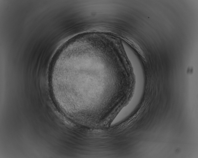 X0000089760784200707121402