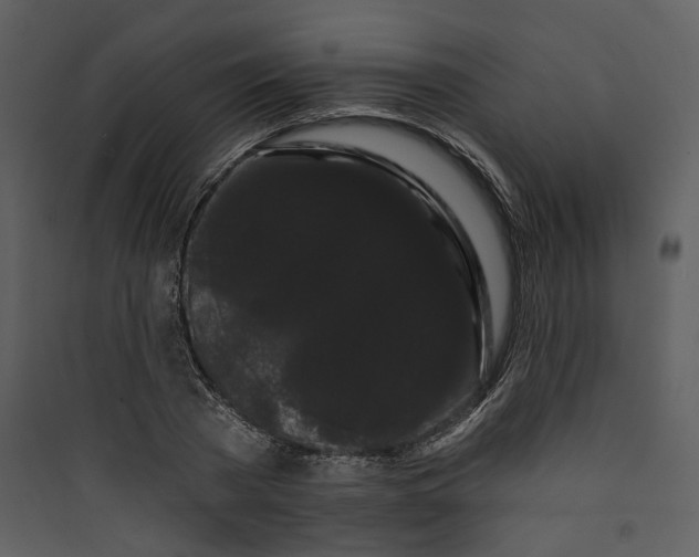 X0000089760785200707121402