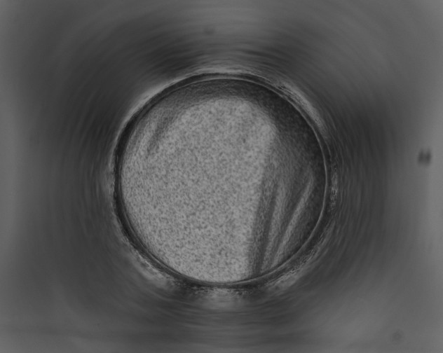 X0000089760787200707121402