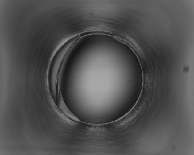 X0000089760788200707121402