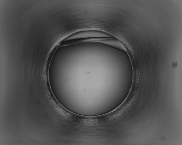 X0000089760789200707121402