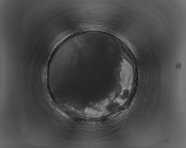 X0000089760790200707121402