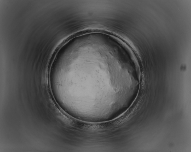 X0000089760791200707121402