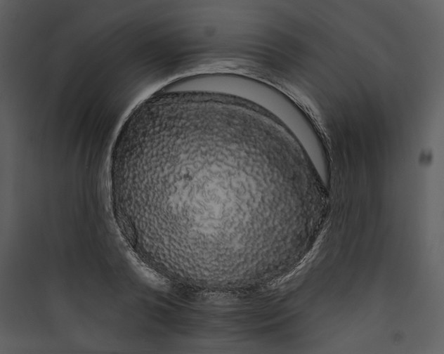 X0000089760792200707121402