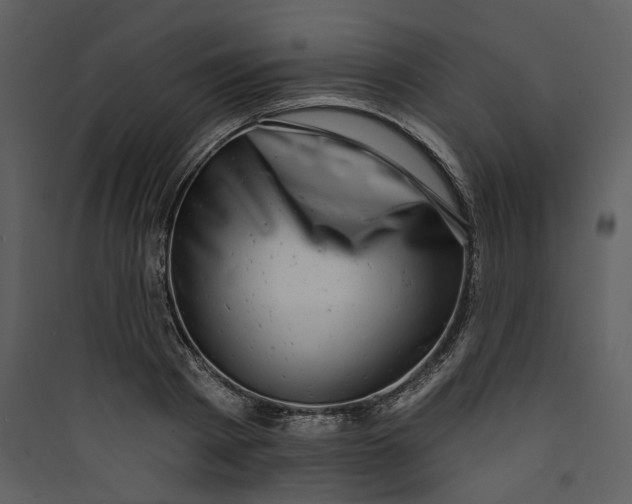 X0000089760793200707121402