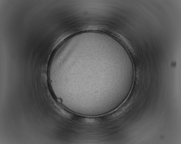 X0000089760794200707121402