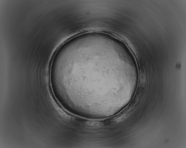 X0000089760795200707121402