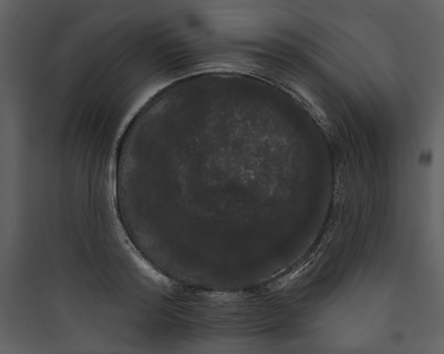 X0000089760796200707121402