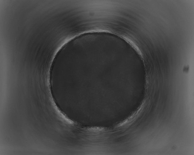 X0000089760797200707121402