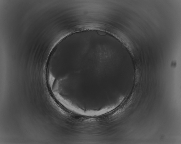 X0000089760798200707121402