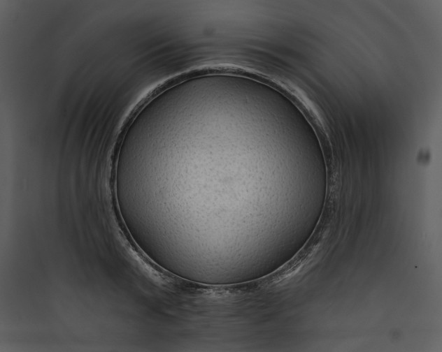 X0000089760799200707121402