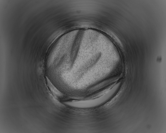 X0000089760801200707121402