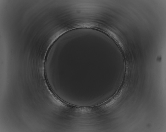 X0000089760802200707121402