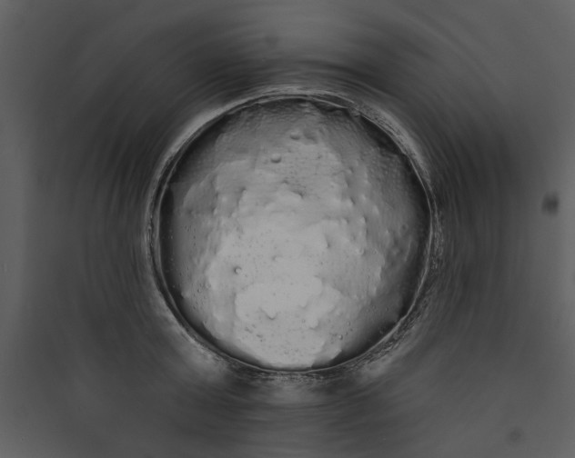 X0000089760803200707121402