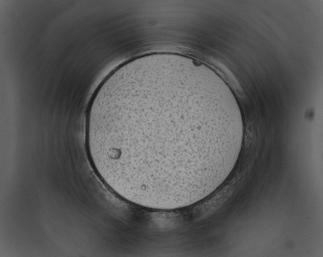 X0000089760804200707121402