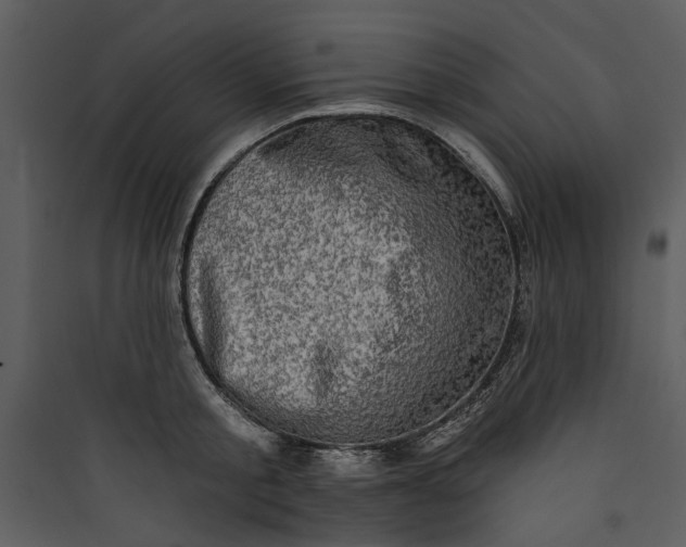 X0000089760805200707121402