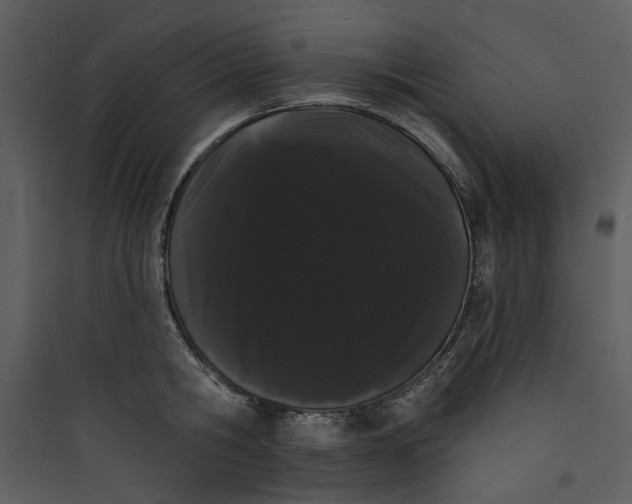 X0000089760806200707121402