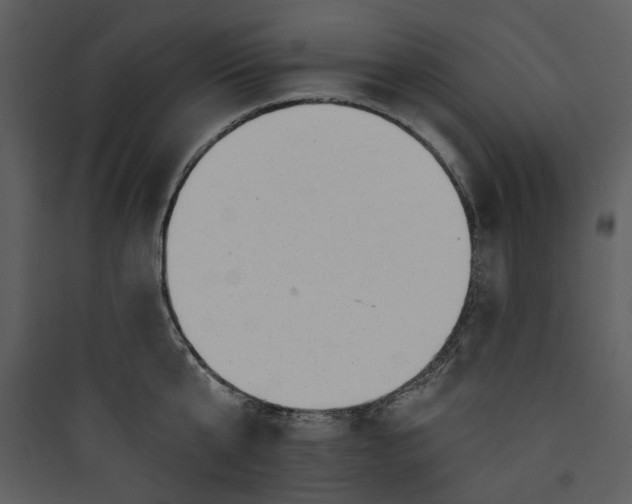 X0000089760807200707121402