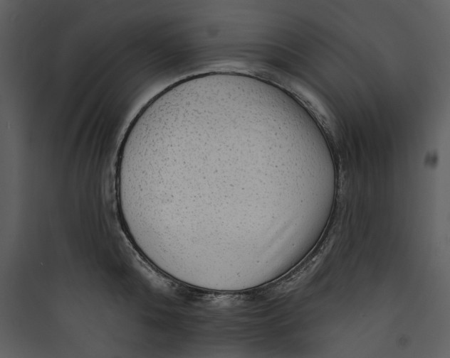 X0000089760808200707121402