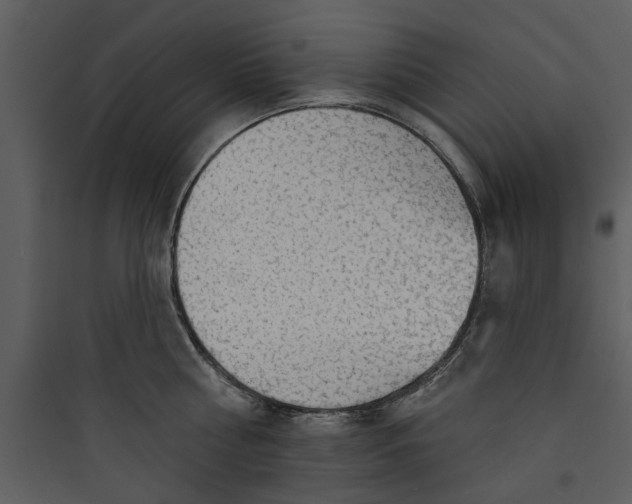 X0000089760810200707121402