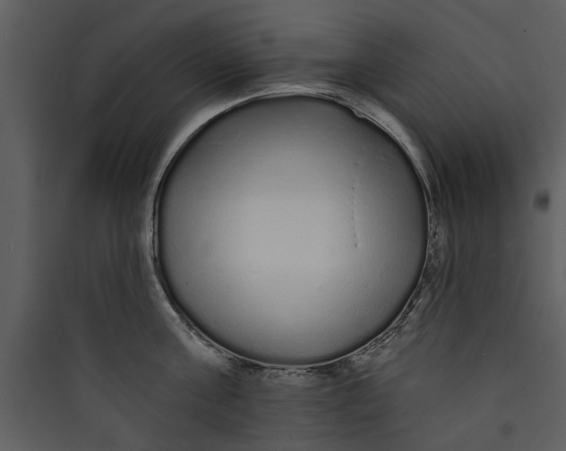 X0000089760811200707121402