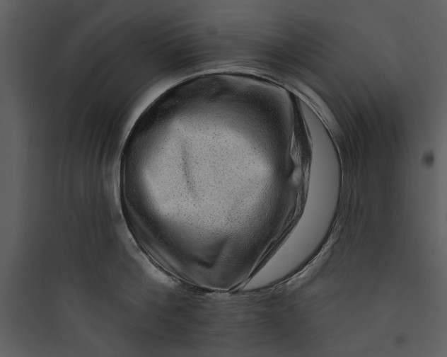 X0000089760812200707121402