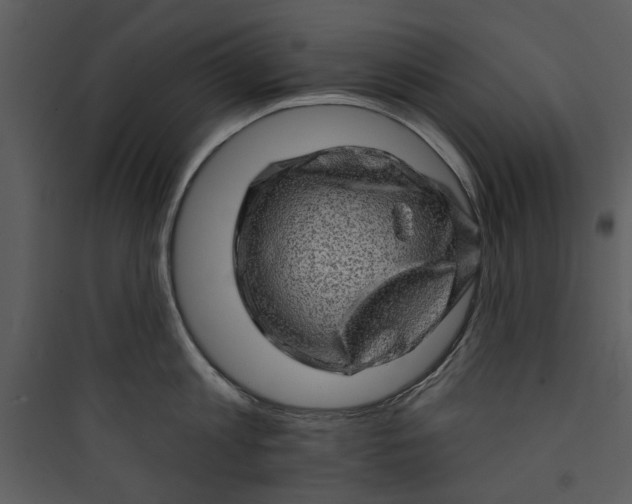 X0000089760813200707121402