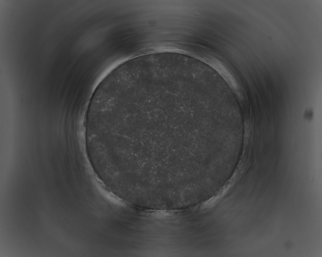 X0000089760814200707121402