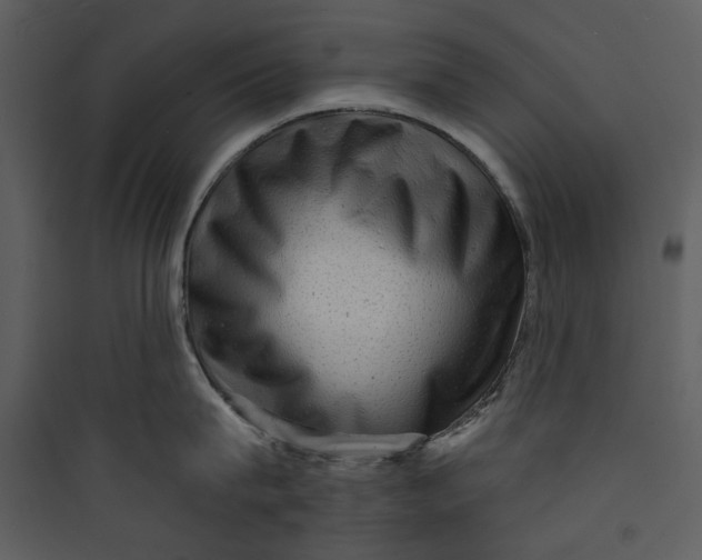 X0000089760815200707121402