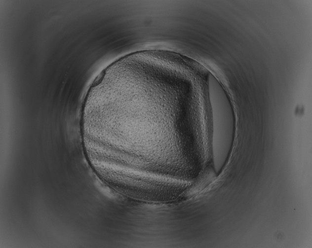 X0000089760816200707121402