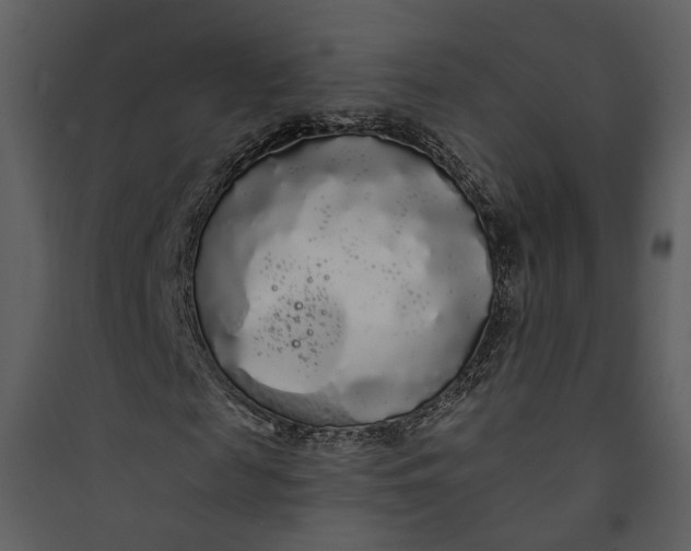 X0000089760817200707121401