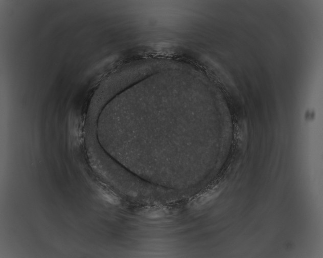 X0000089760818200707121401