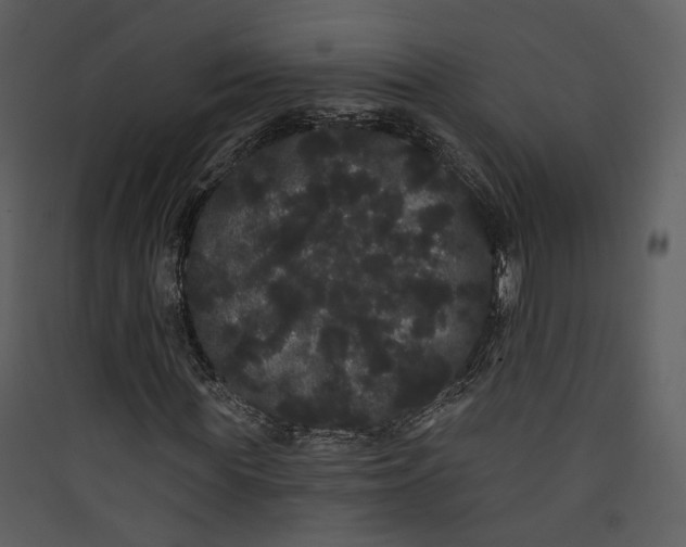 X0000089760819200707121401