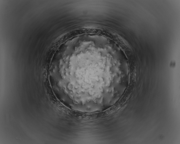 X0000089760821200707121401