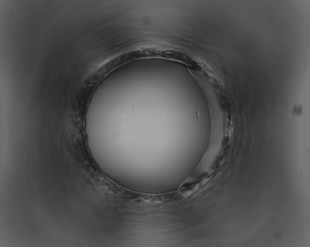 X0000089760822200707121401