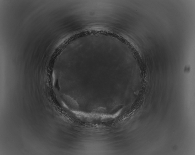 X0000089760823200707121401